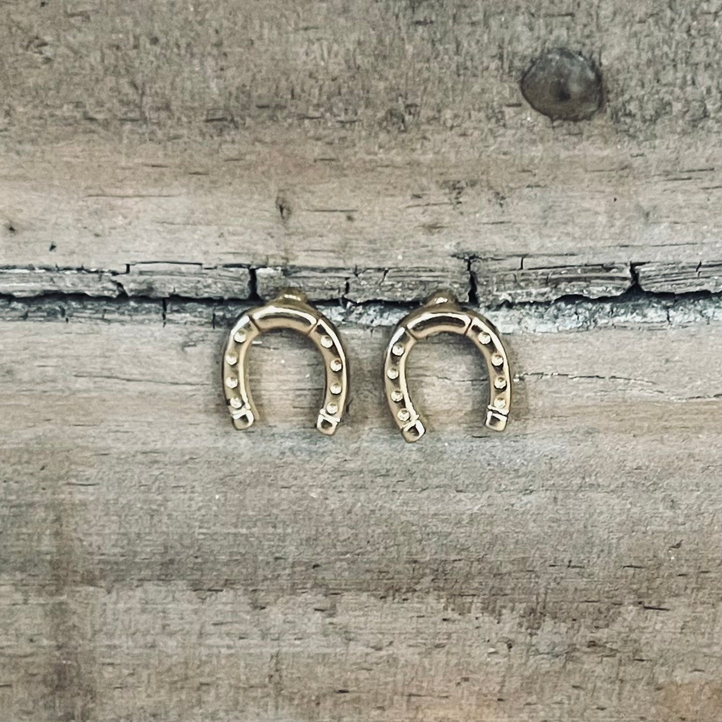 Wynonna Earrings