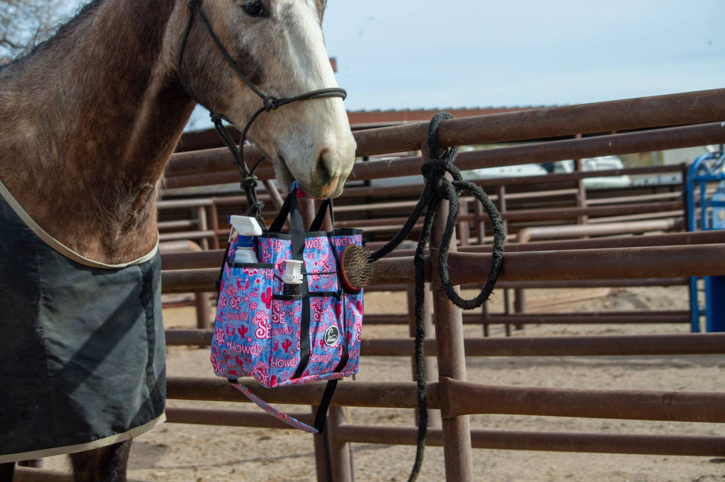 Grooming Tote