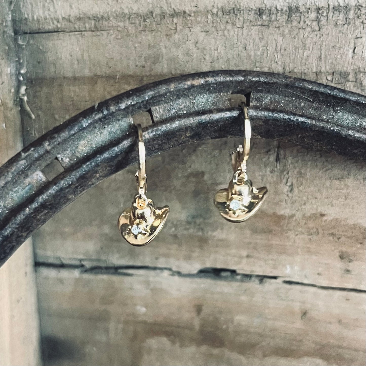 Wynonna Earrings