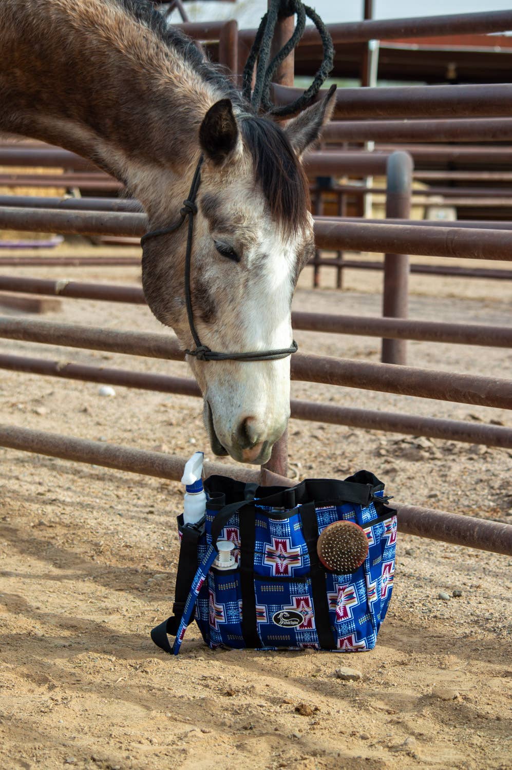 Grooming Tote