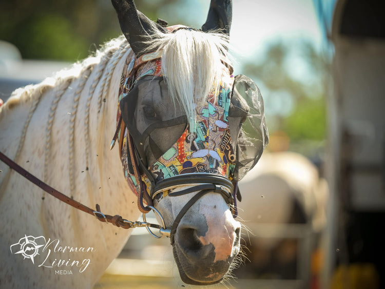 Horse Gear