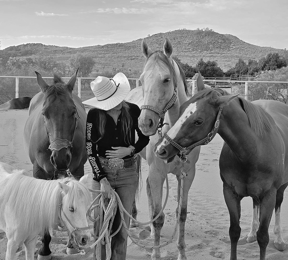 Leah Tournay horse photo