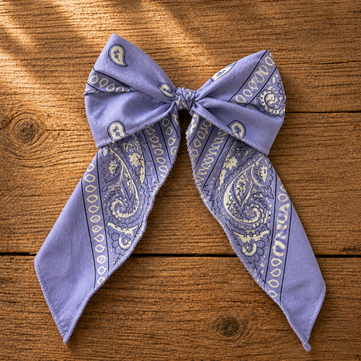 Dusty Trails Bow