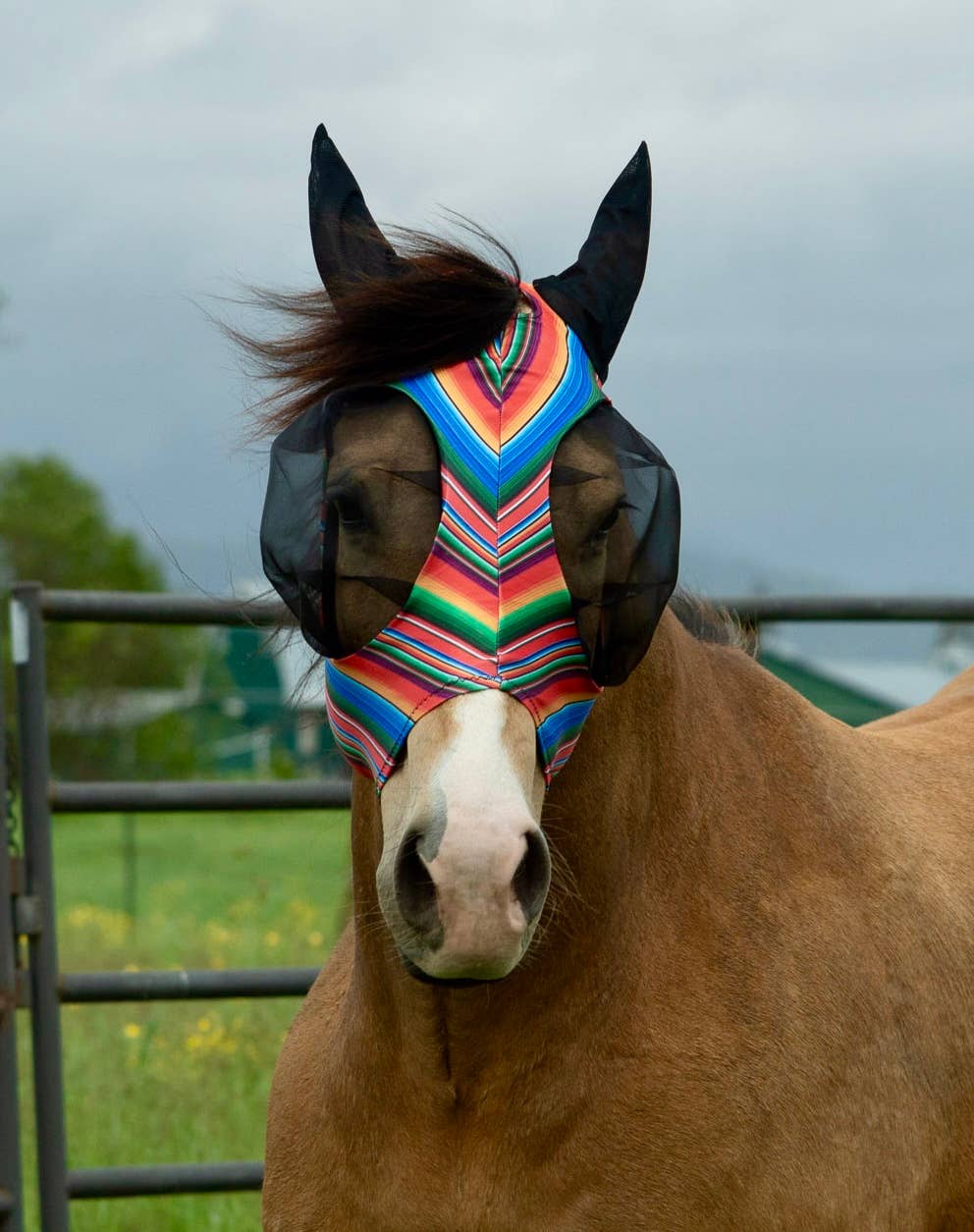 Lycra Fly Mask/Fly Veil
