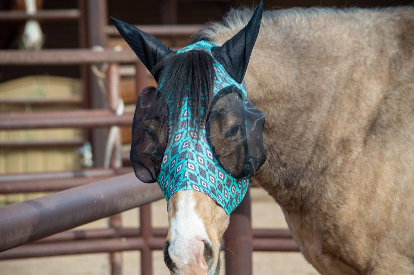 Lycra Fly Mask/Fly Veil