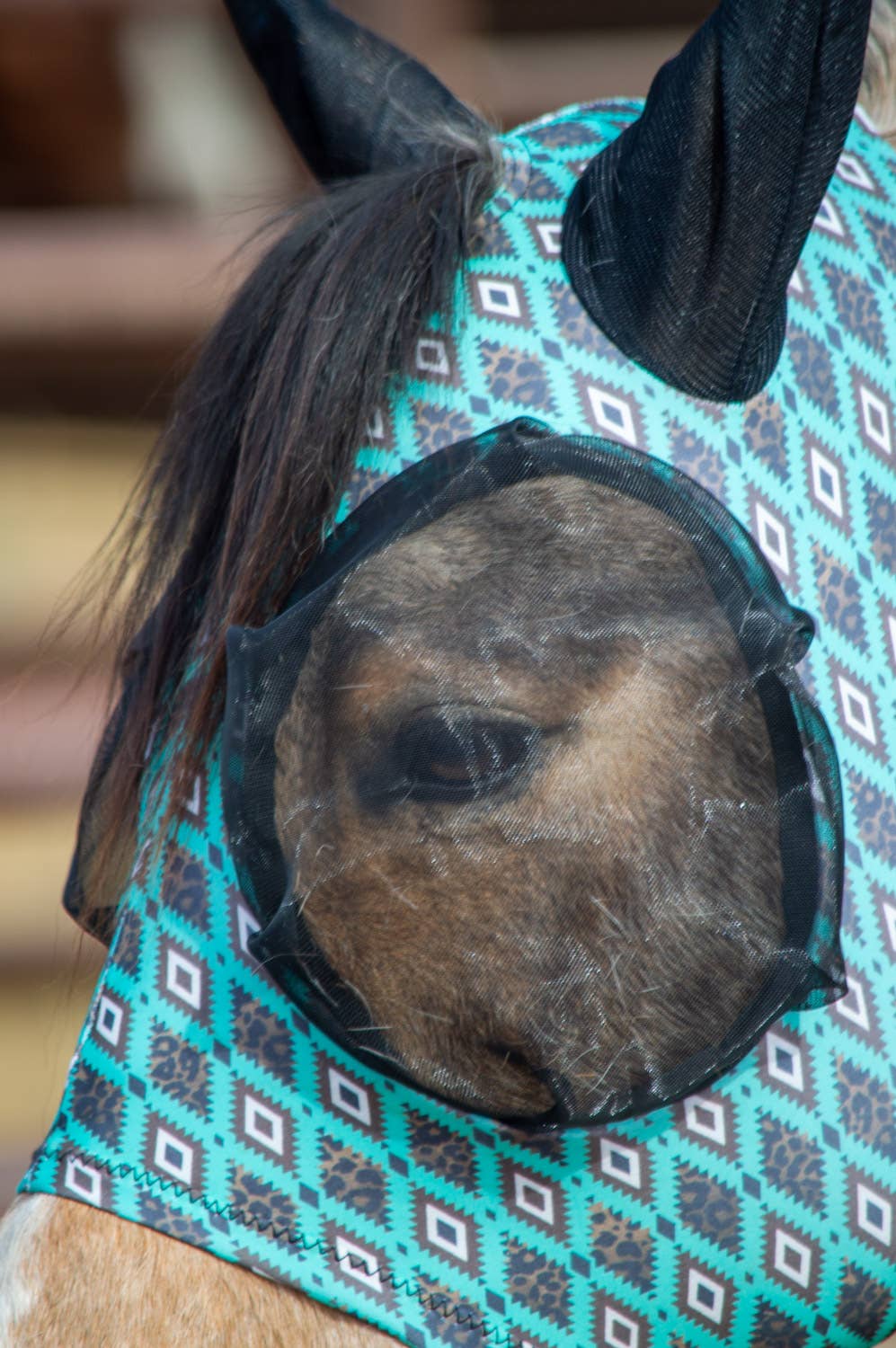 Lycra Fly Mask/Fly Veil