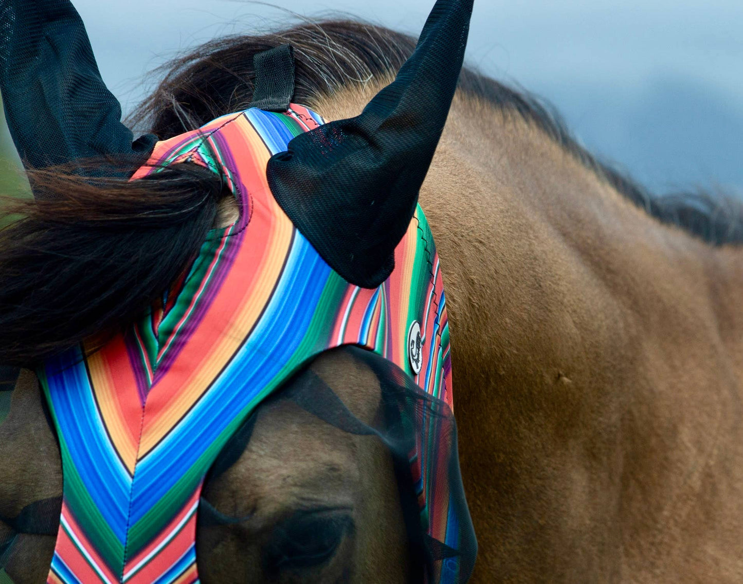 Lycra Fly Mask/Fly Veil
