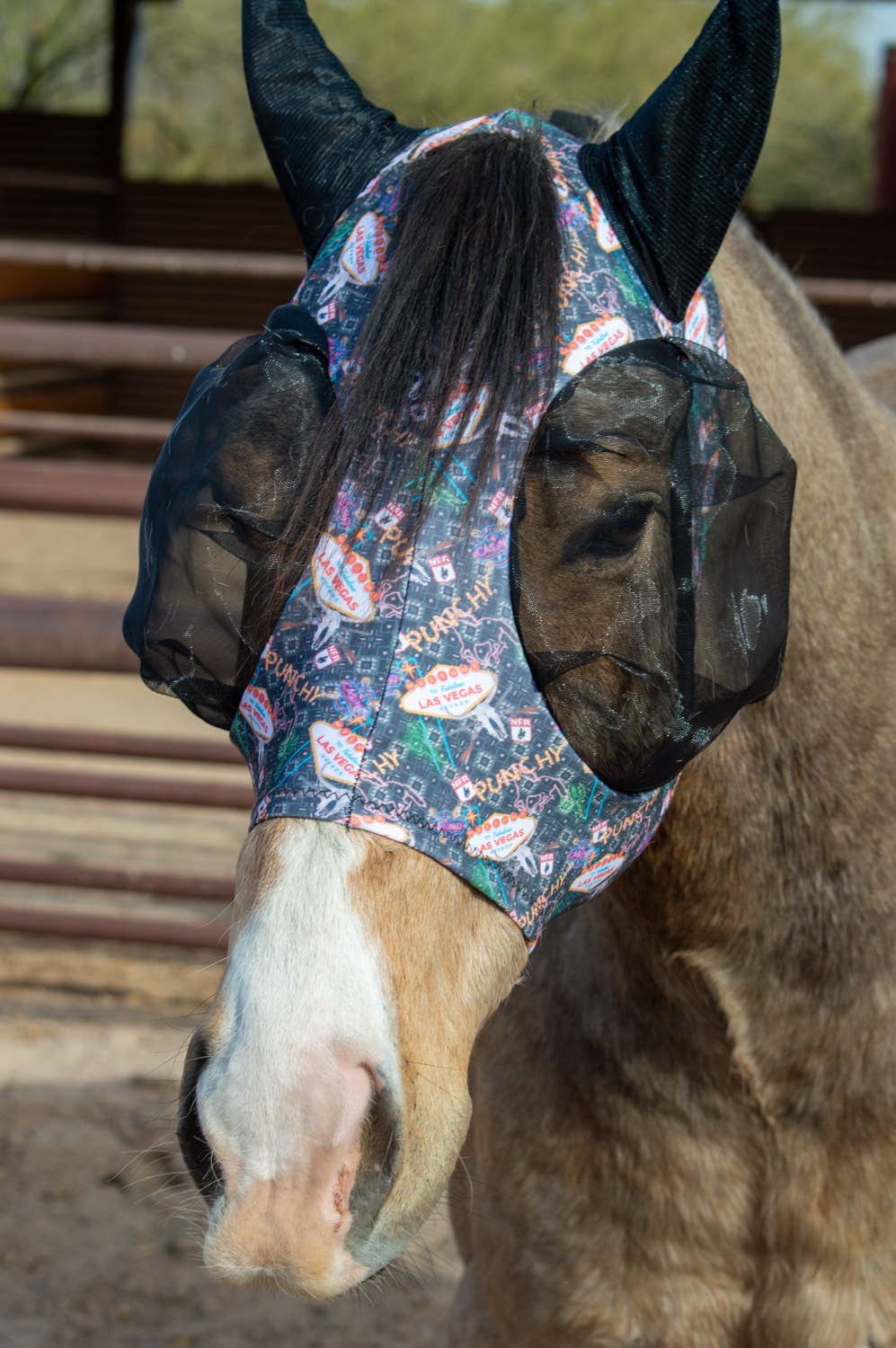 Lycra Fly Mask/Fly Veil