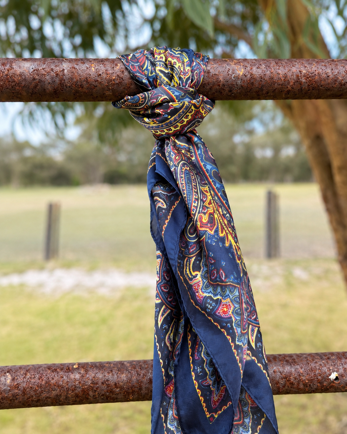 Rodeo Nights Wild Rags