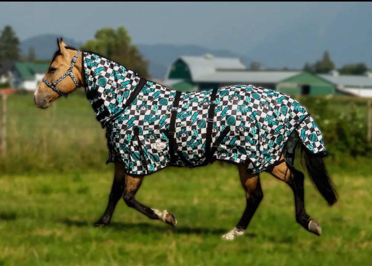 Fly Sheet