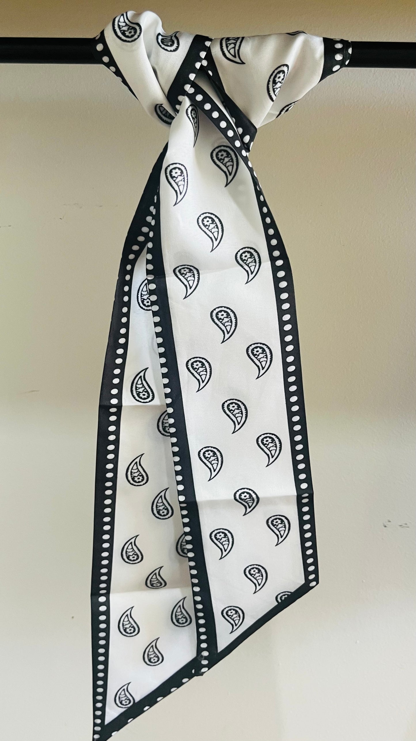 Paisley Neck Tie