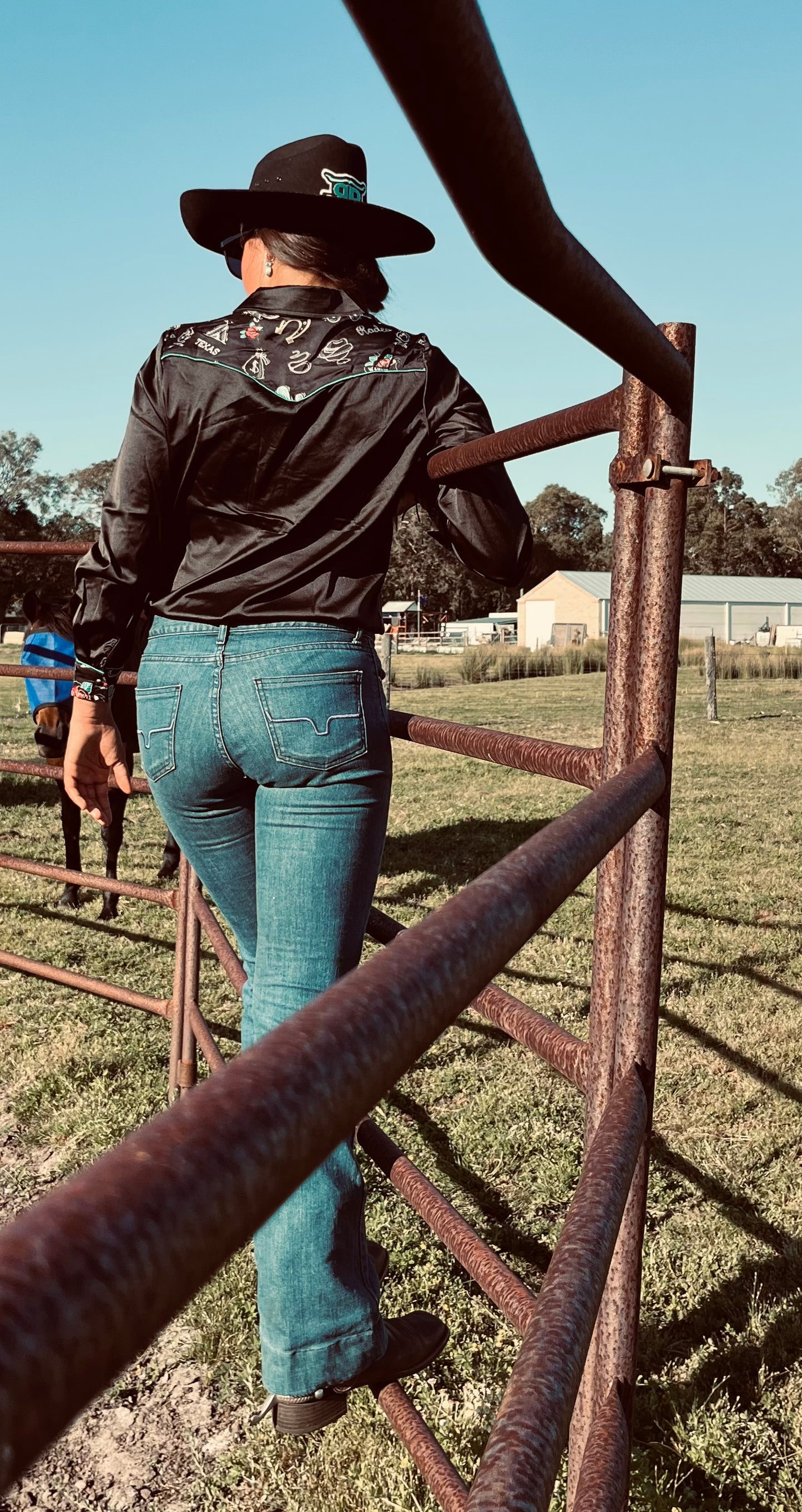 Miss Dale Satin Western Shirt