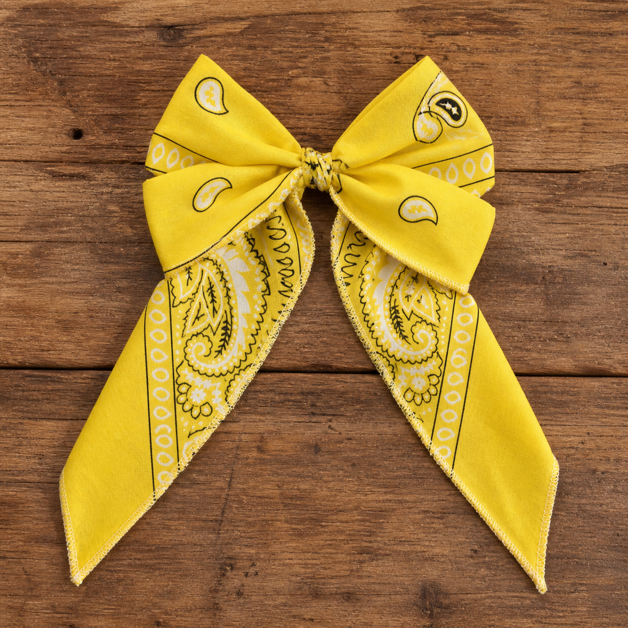 Dusty Trails Bow