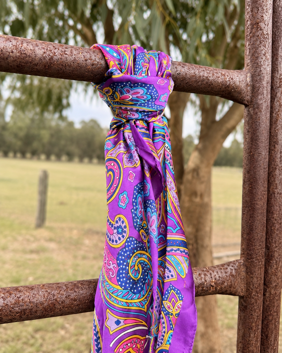 Rodeo Nights Wild Rags
