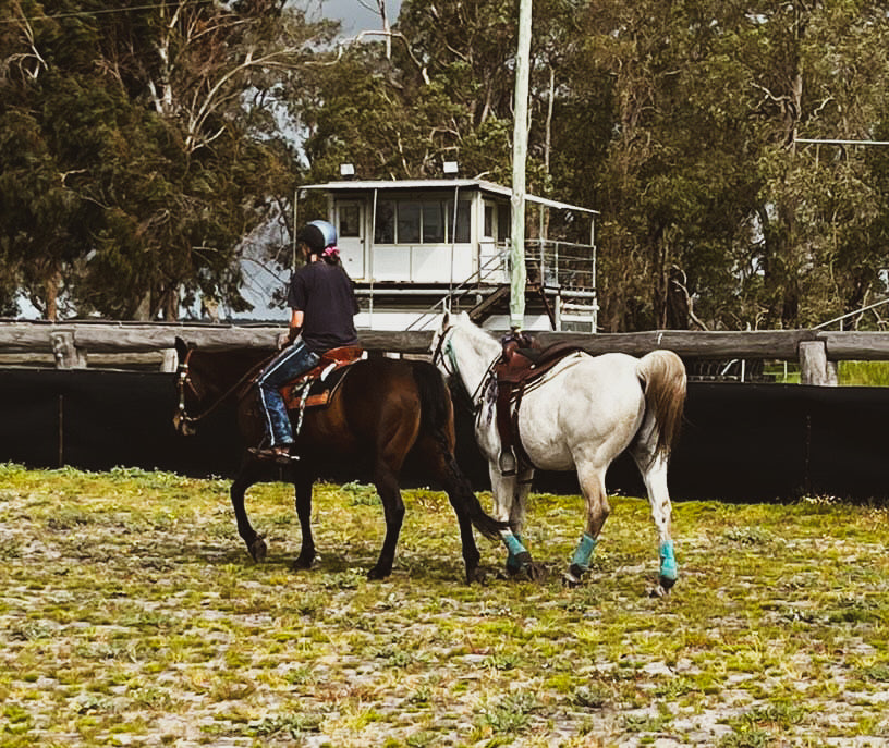 Izzy Collard horse photo