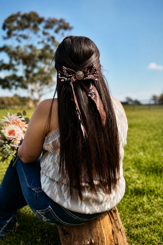Dusty Trails Bow