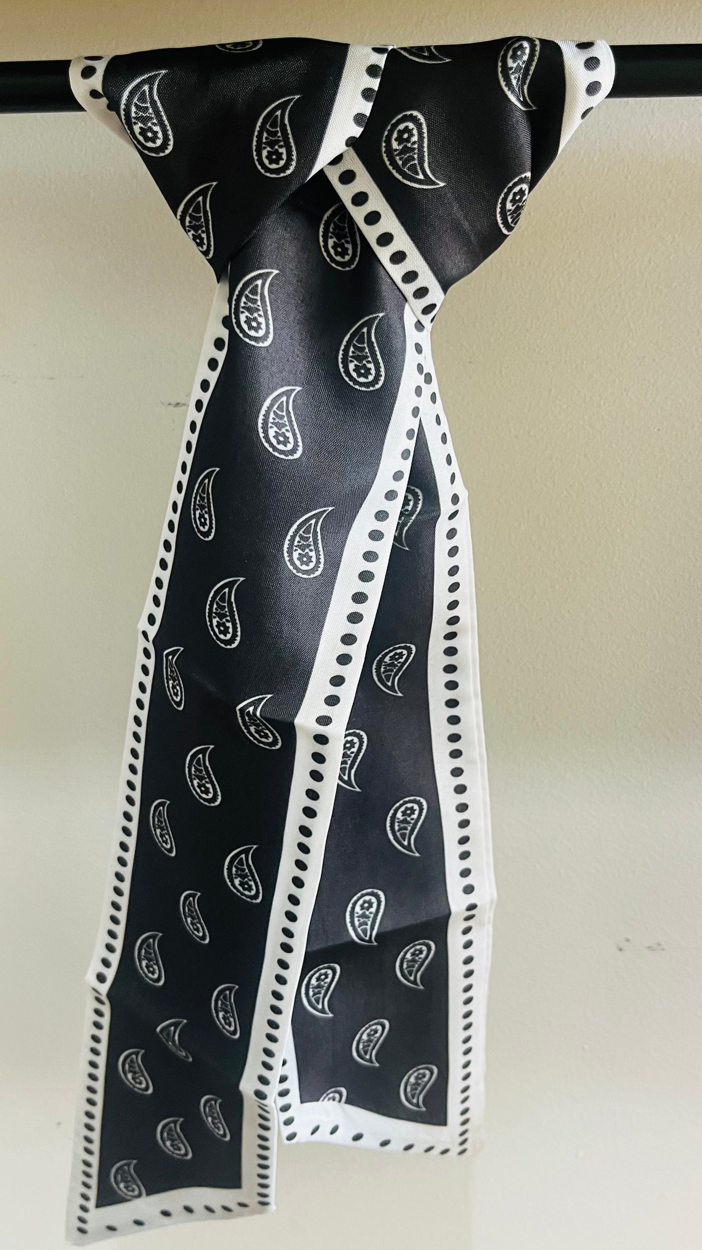 Paisley Neck Tie