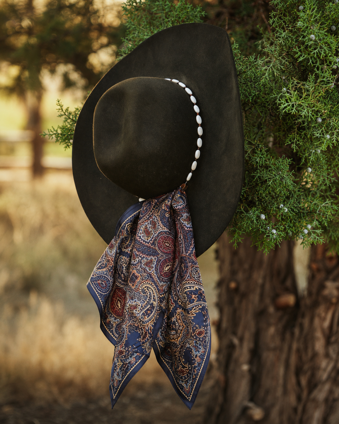 Rodeo Nights Wild Rags