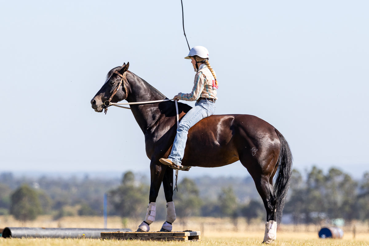 Lilly Lewis horse photo