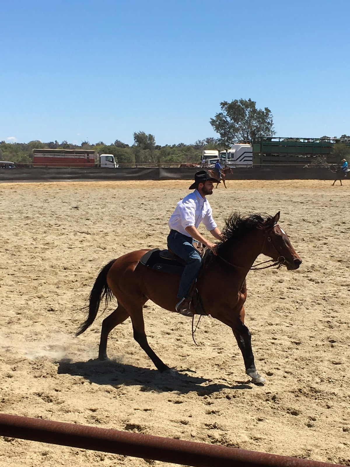 Andrew Brown horse photo