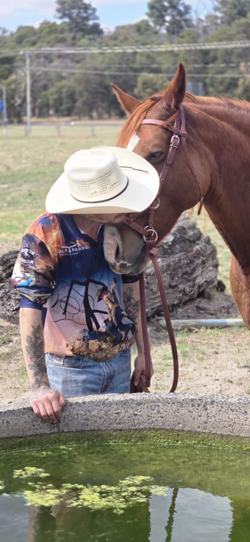 Mark Best horse photo