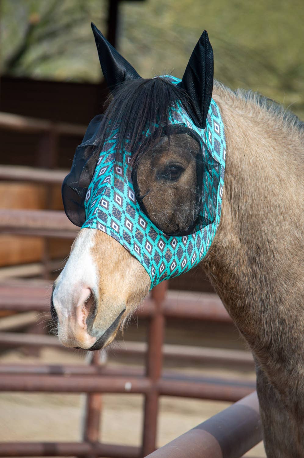 Lycra Fly Mask/Fly Veil