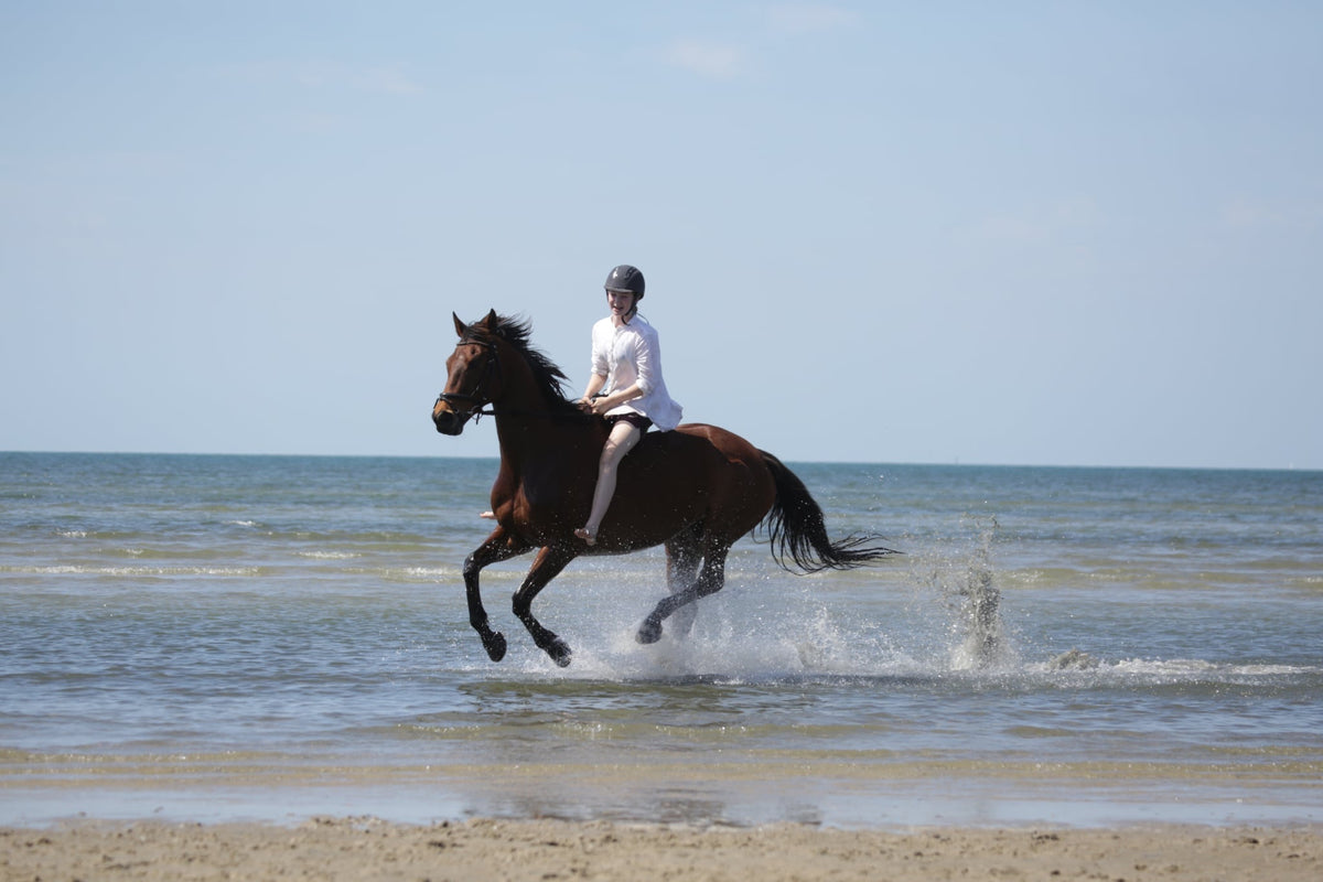 Stephanie Jenkins horse photo