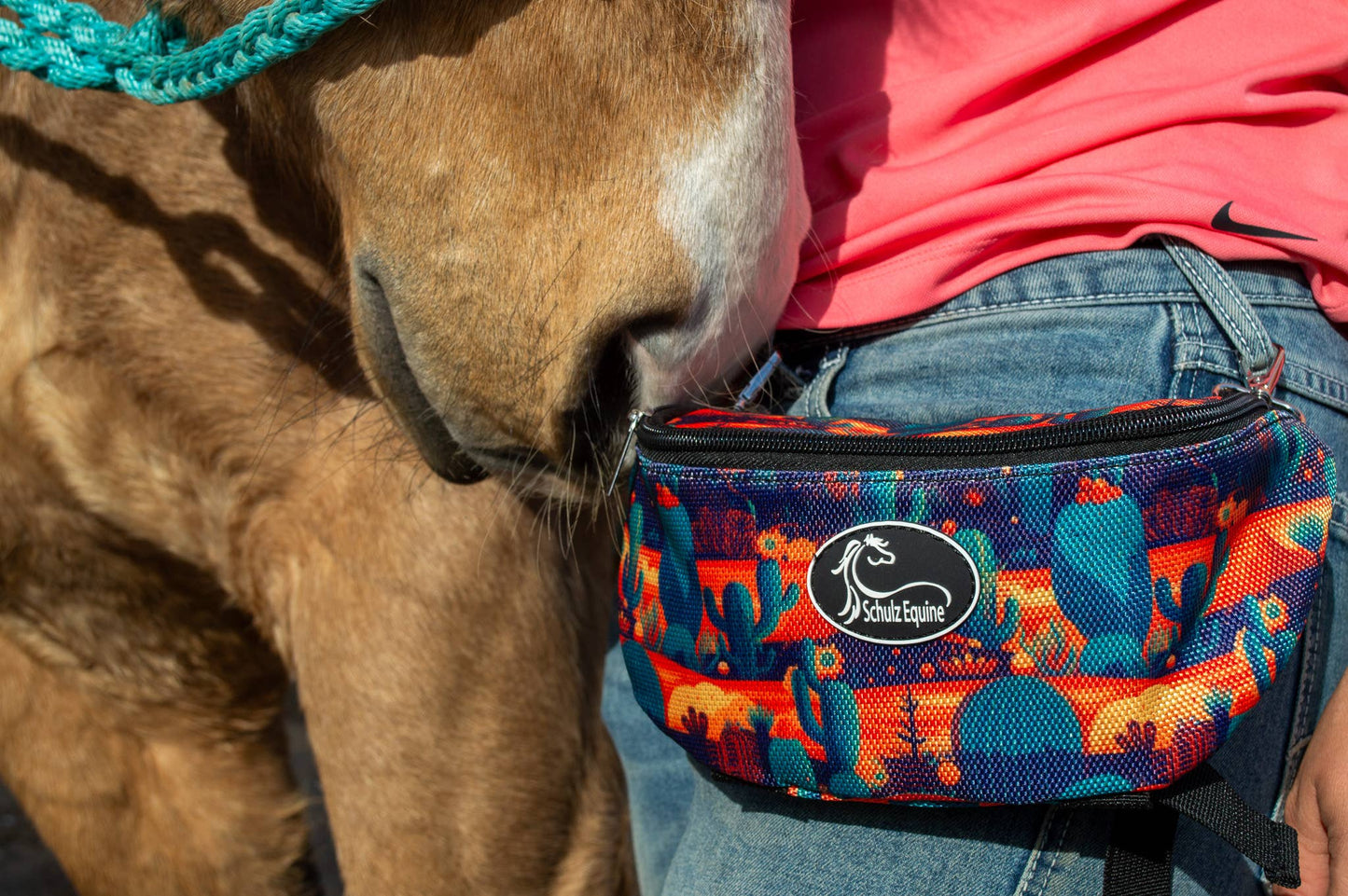 Saddle Pak/Saddle Bag