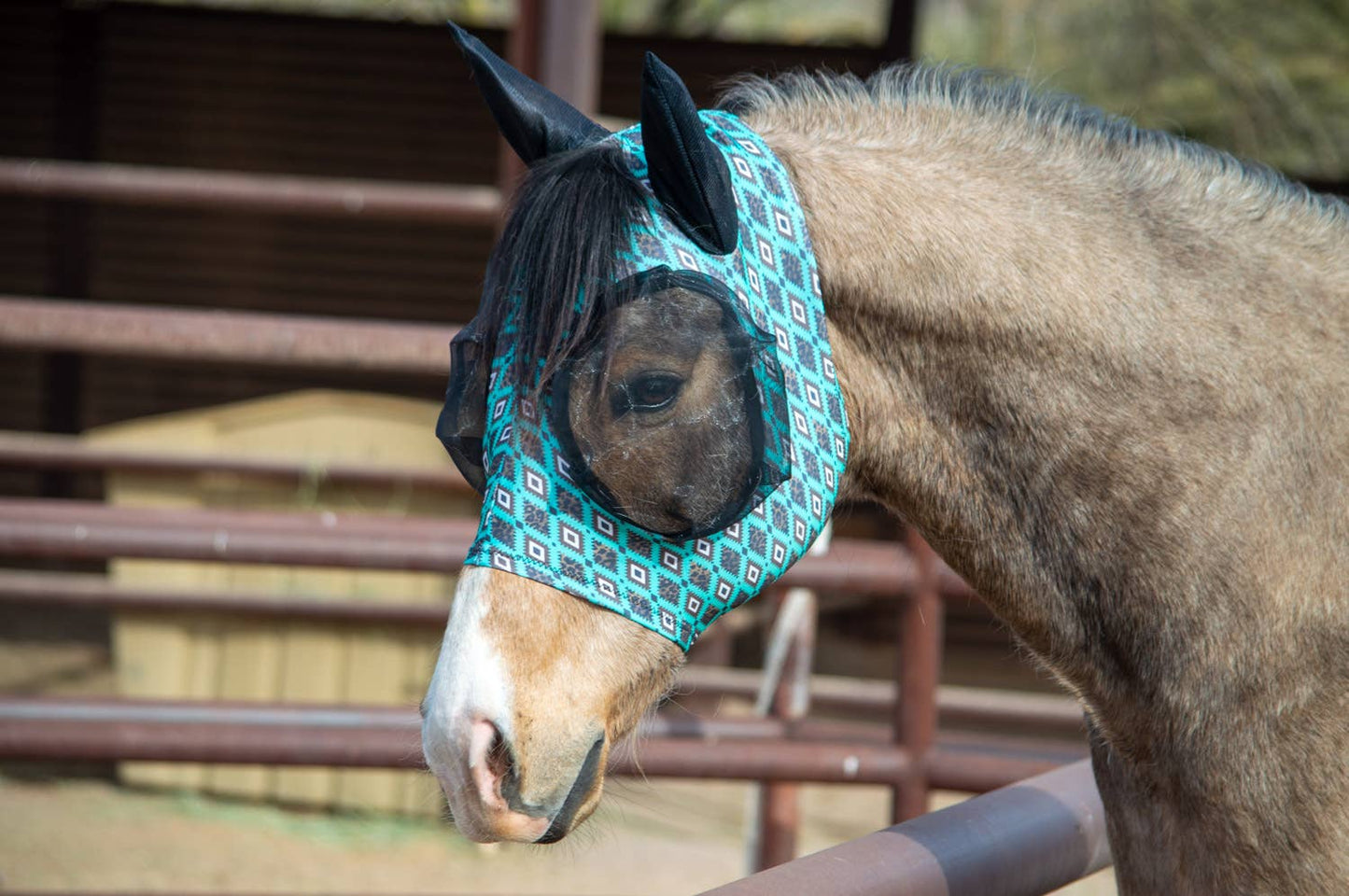 Lycra Fly Mask/Fly Veil