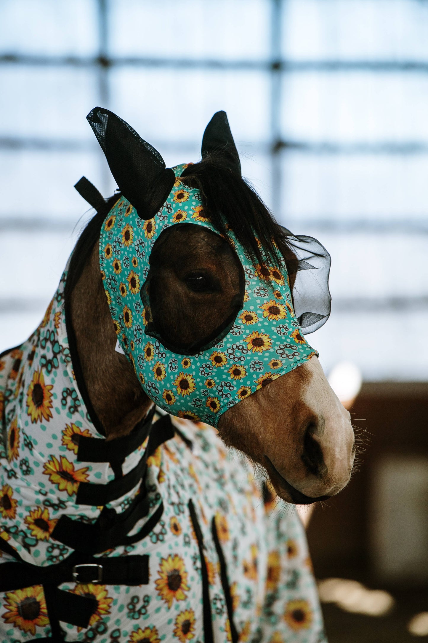 Lycra Fly Mask/Fly Veil