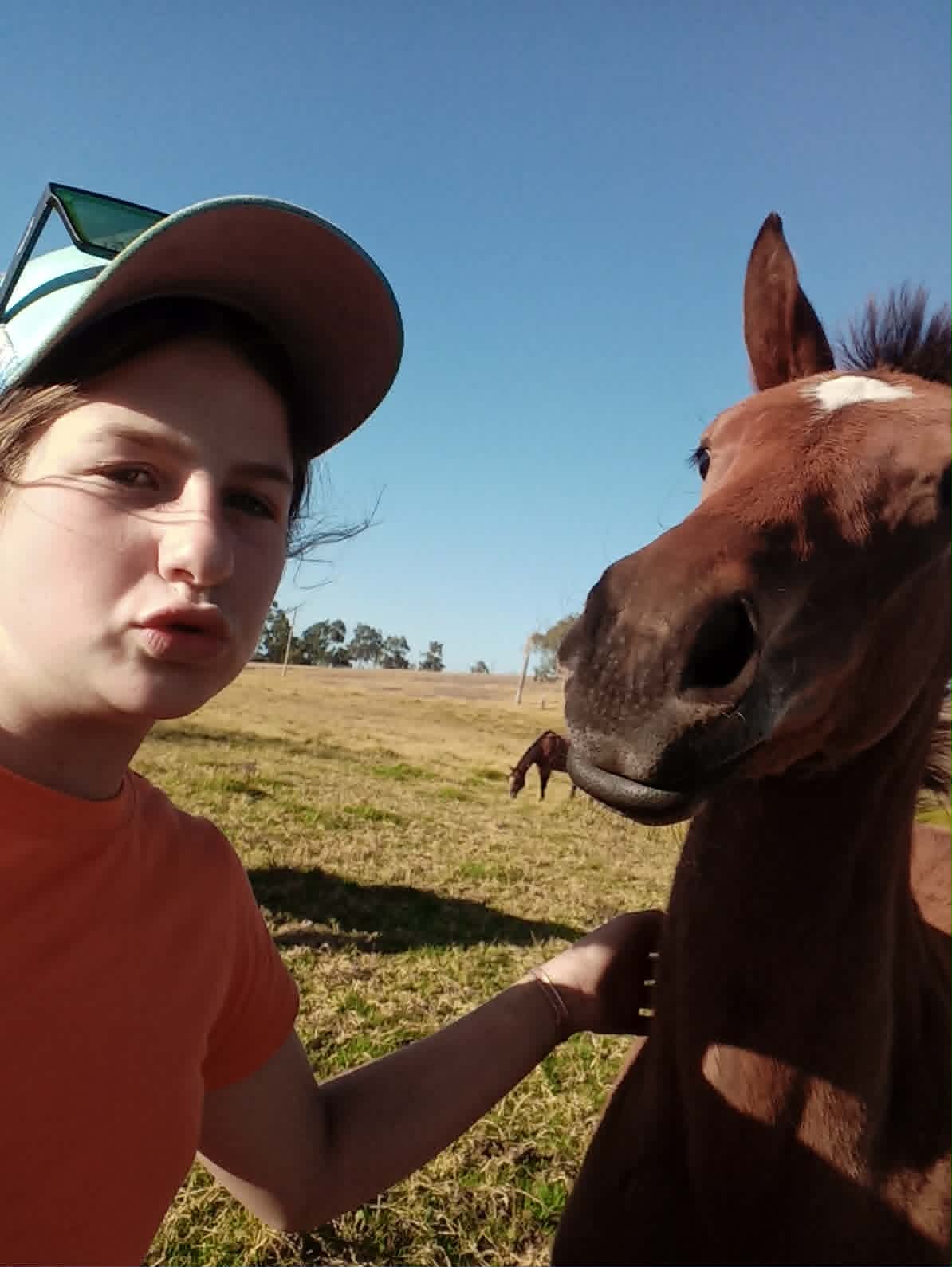 Tess McGinty horse photo